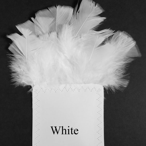 New - White Genuine Feather Pocket Square Insert - Picture 6 of 6